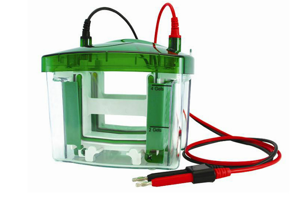 Mini-1小型垂直电泳二块胶电泳系统，不含制胶系统 Tetra Cell