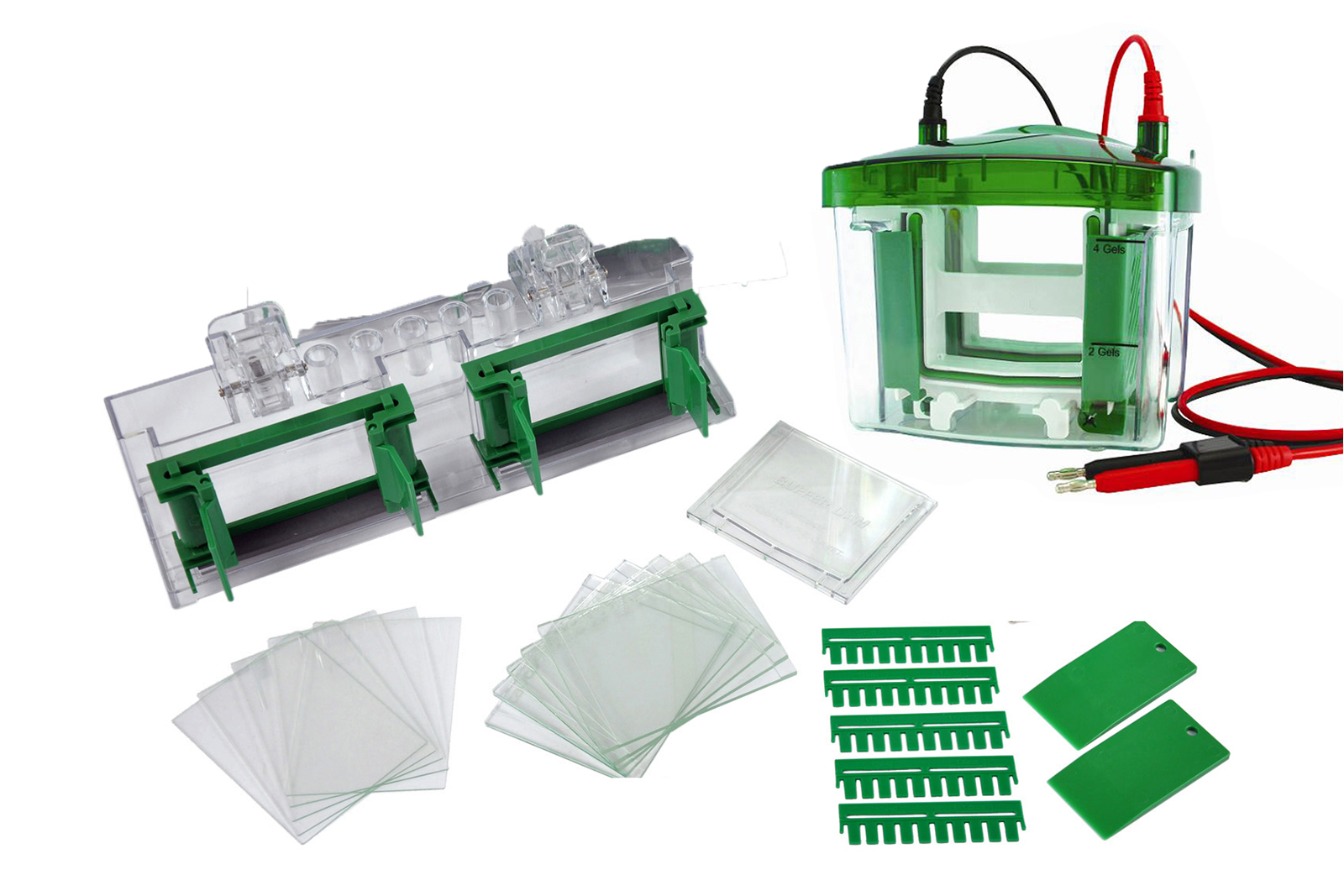 Mini-1小型垂直电泳二块胶电泳系统，1.5 mm, 含制胶系统 Tetra Cell