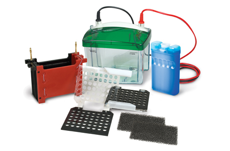 Mini-ZY2小型转印系统，包括：Mini 4小型电泳槽上盖和下槽，转印电泳芯，三明治夹x2，转印棉x4，冰盒，使用手册 Transfer Electrode Assembly