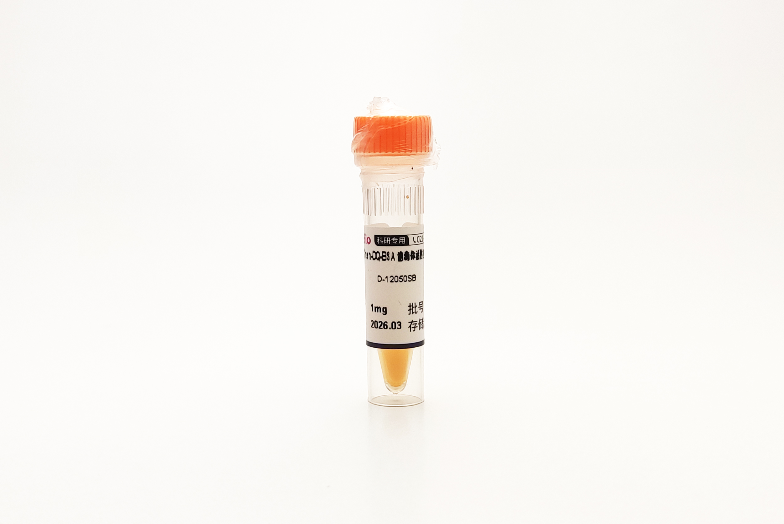 Green-DQ-BSA 溶酶体活性检测 DQ-BSA-GREEN Lysozyme Assay Kit