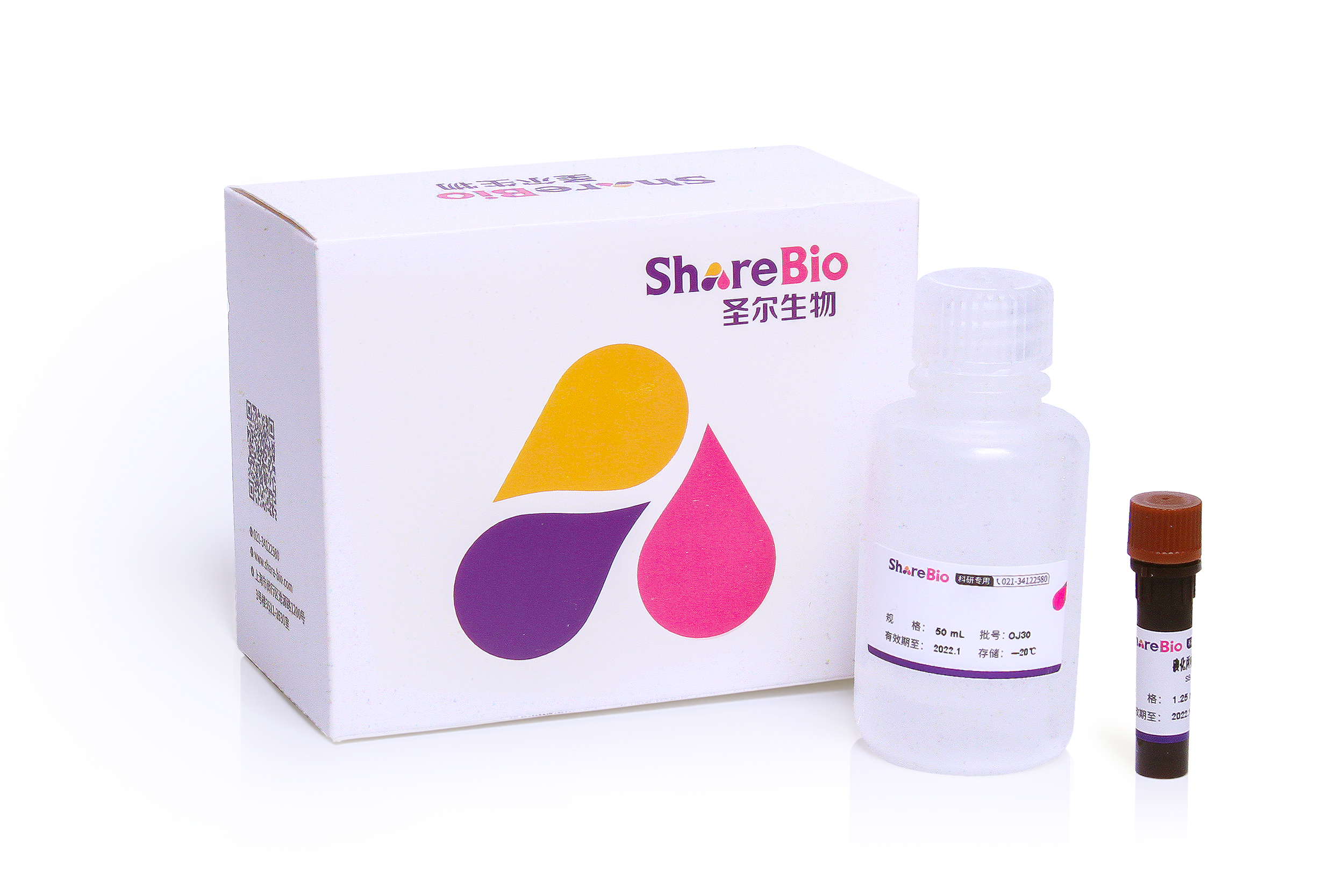 Biotin Tyramide Kit, HRP Streptavidin (生物素酪胺信号放大试剂盒，HRP-链霉亲和素)