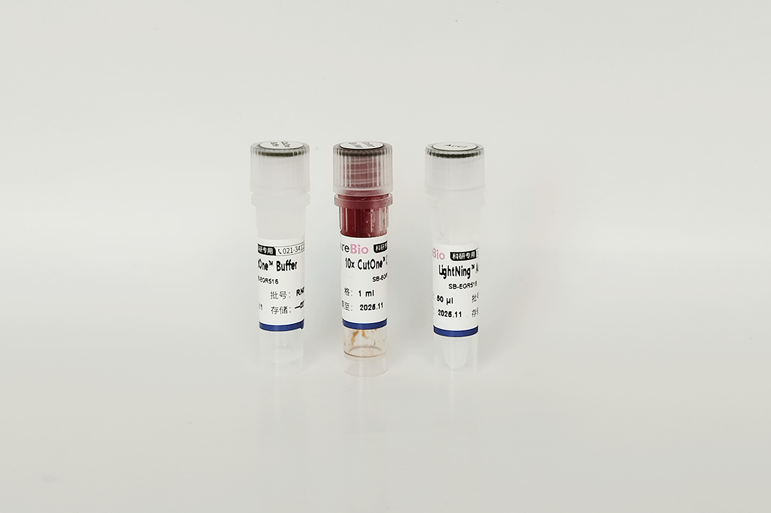 快速内切酶AccI-HF(同裂酶XmiI, FblI)