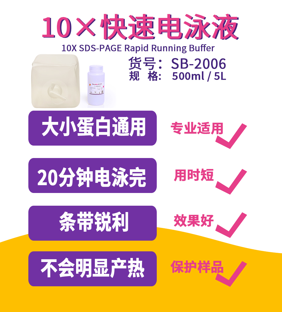 10×快速电泳液