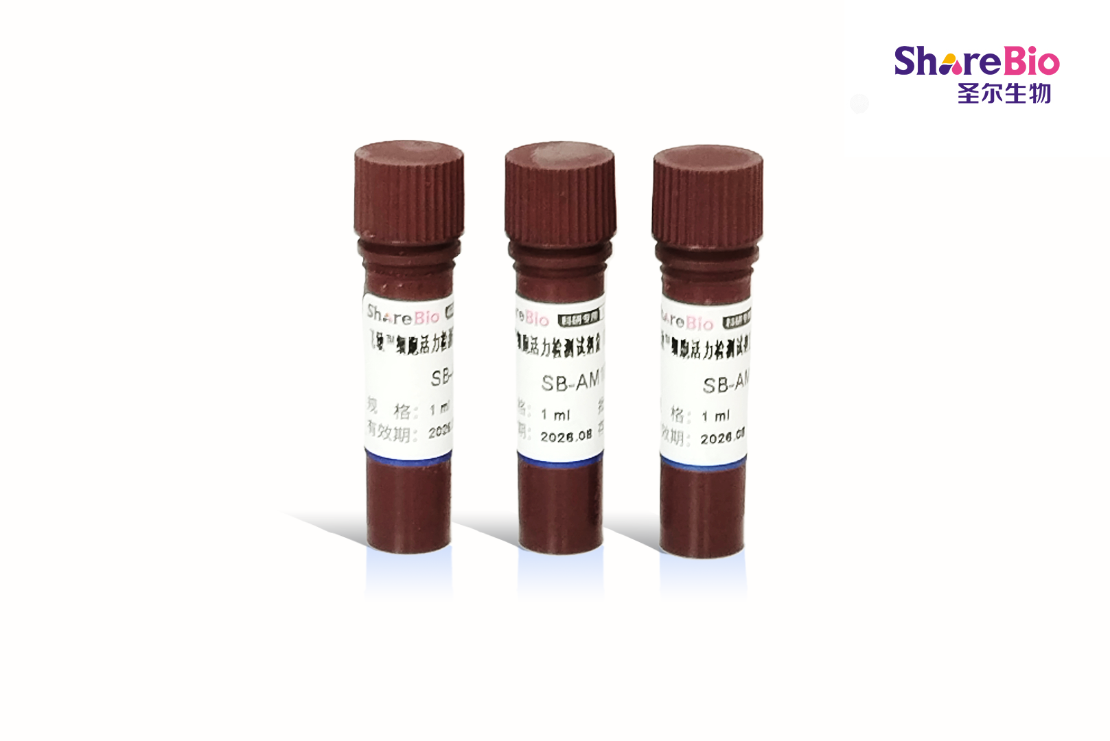 飞敏™ATP细胞活力检测试剂盒ATP Cell Viability Assay