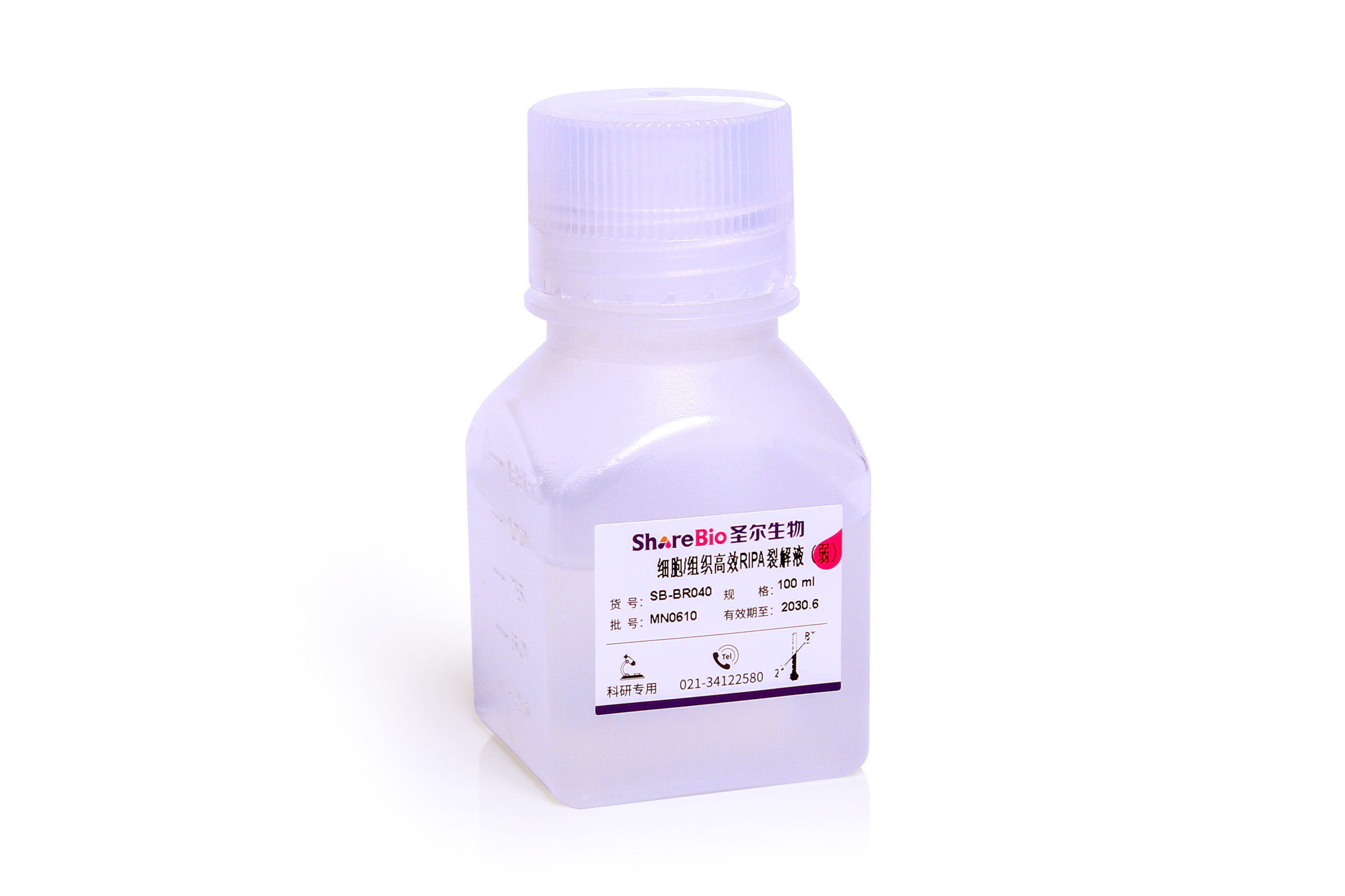 细胞/组织裂解液RIPA （强）