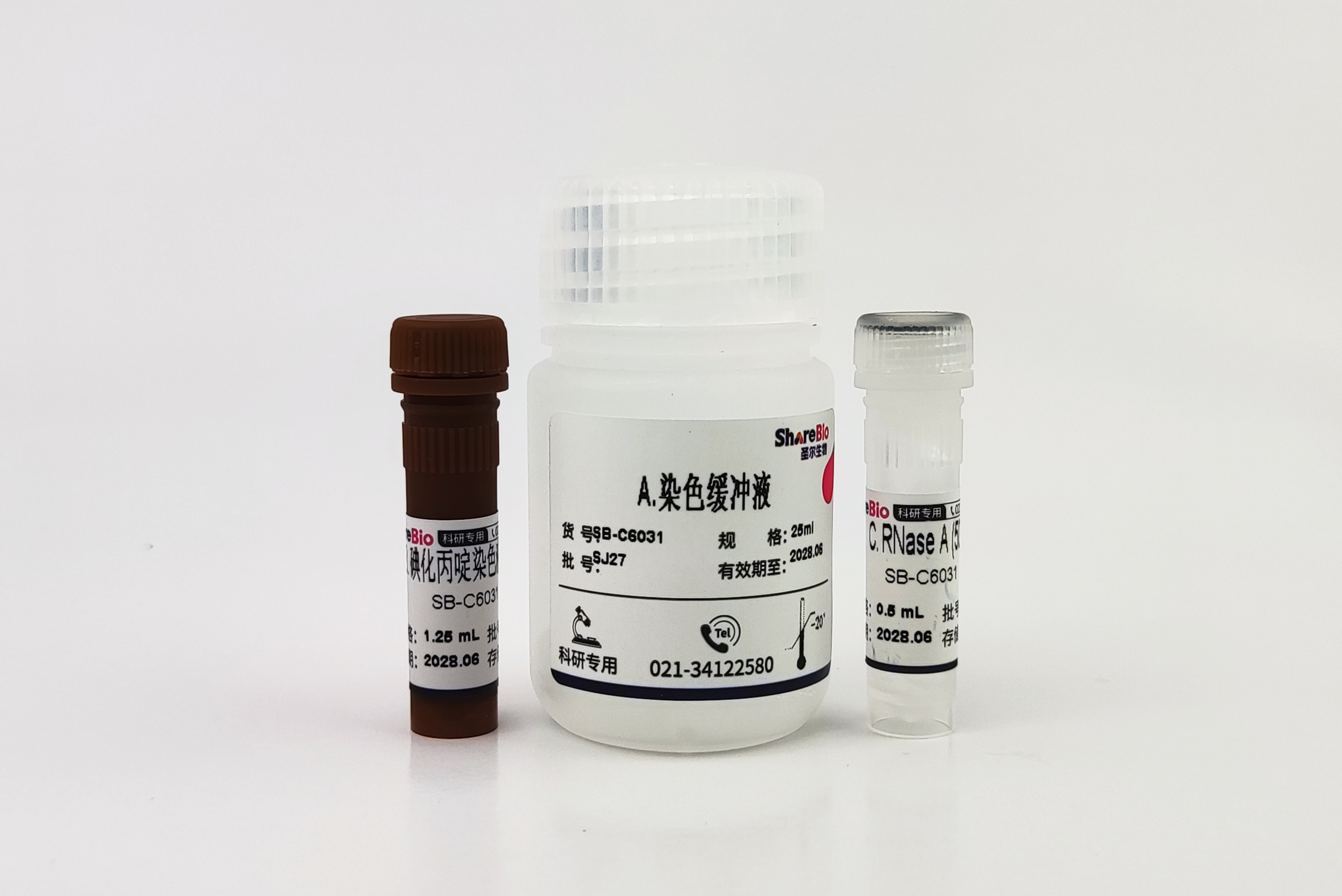 细胞周期检测试剂盒