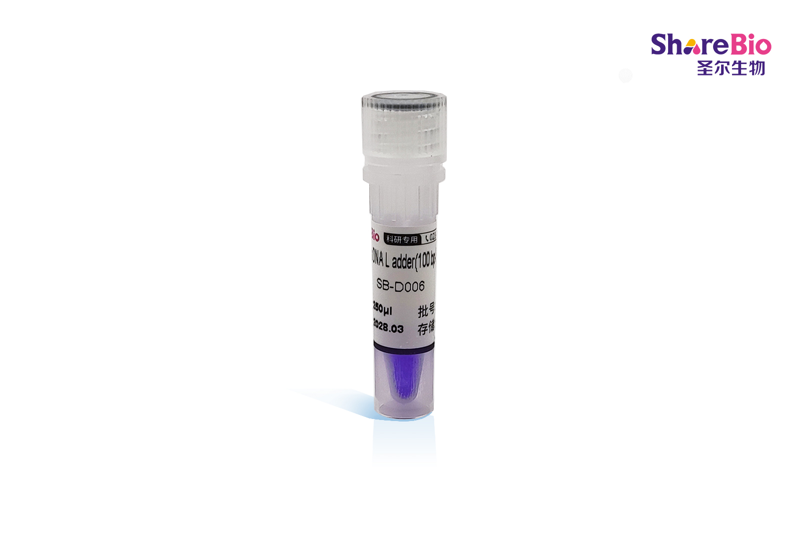 100 bp Plus DNA L adder(100 bo-5000bp) 100 bp Plus double-stranded DNA  Ladder