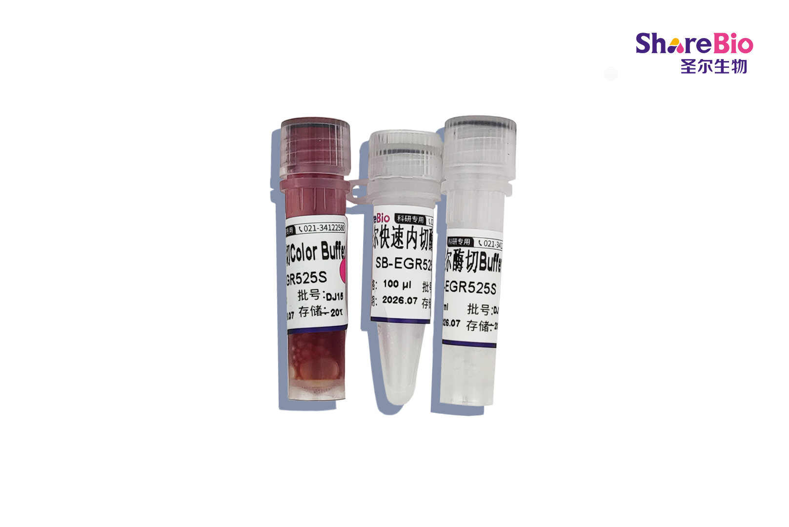 快速内切酶HhaI-HF(同裂酶HinP1I, CfoI, AspLEI, Hin6I, HspAI, BstHHI)