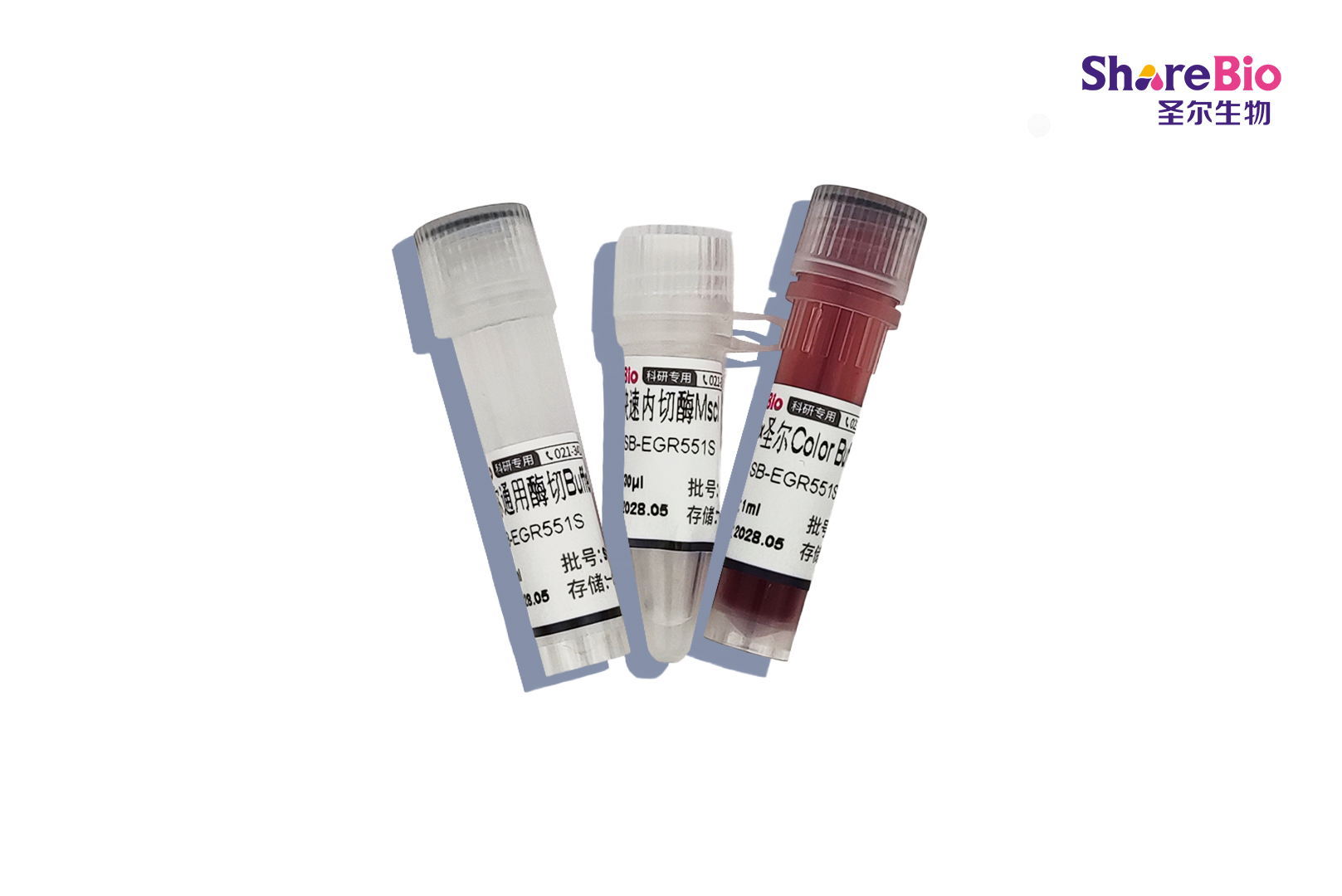 快速内切酶MscI-HF(同裂酶BalI, MlsI, Mox20I, Msp20I)