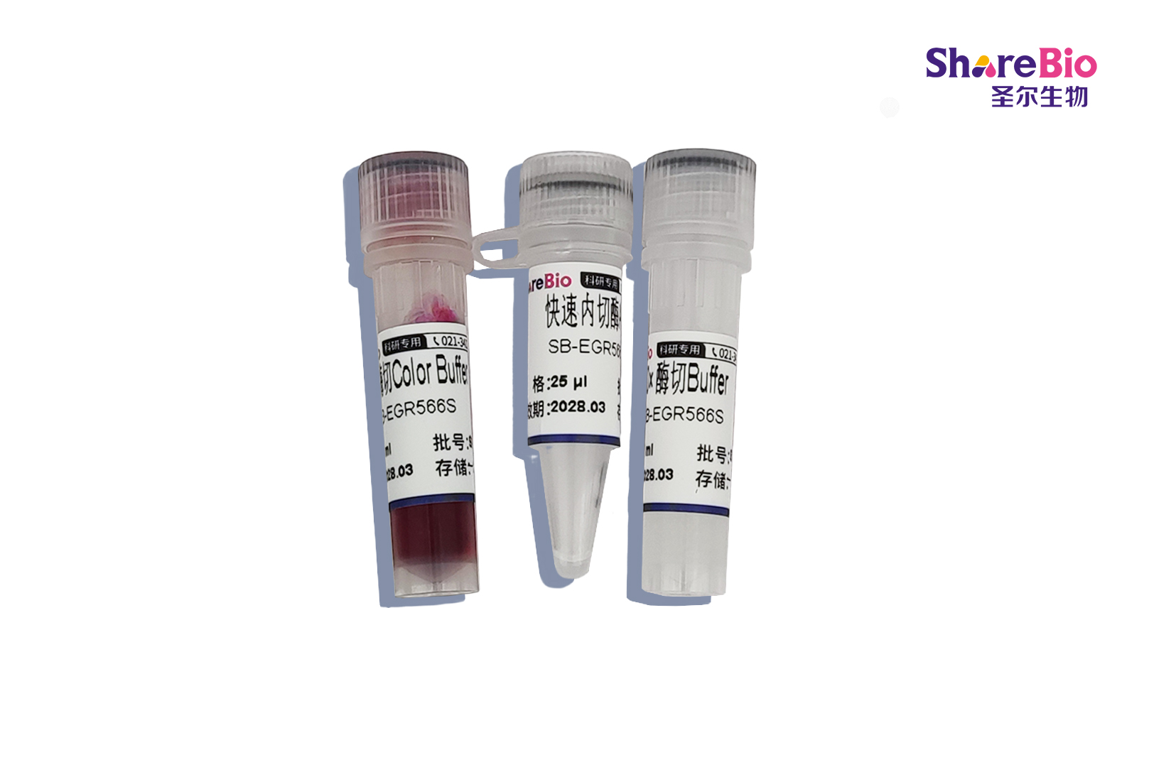 快速内切酶AciI-HF(同裂酶BspACI, SsiI)