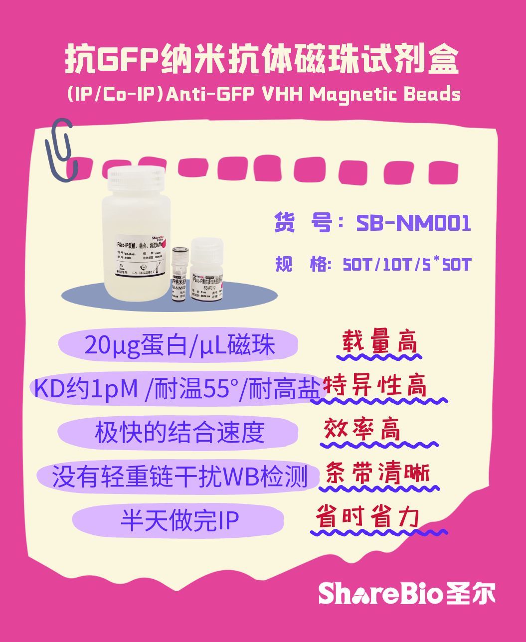 抗GFP纳米抗体磁珠试剂盒(IP/Co-IP)Anti-GFP VHH Magnetic Beads