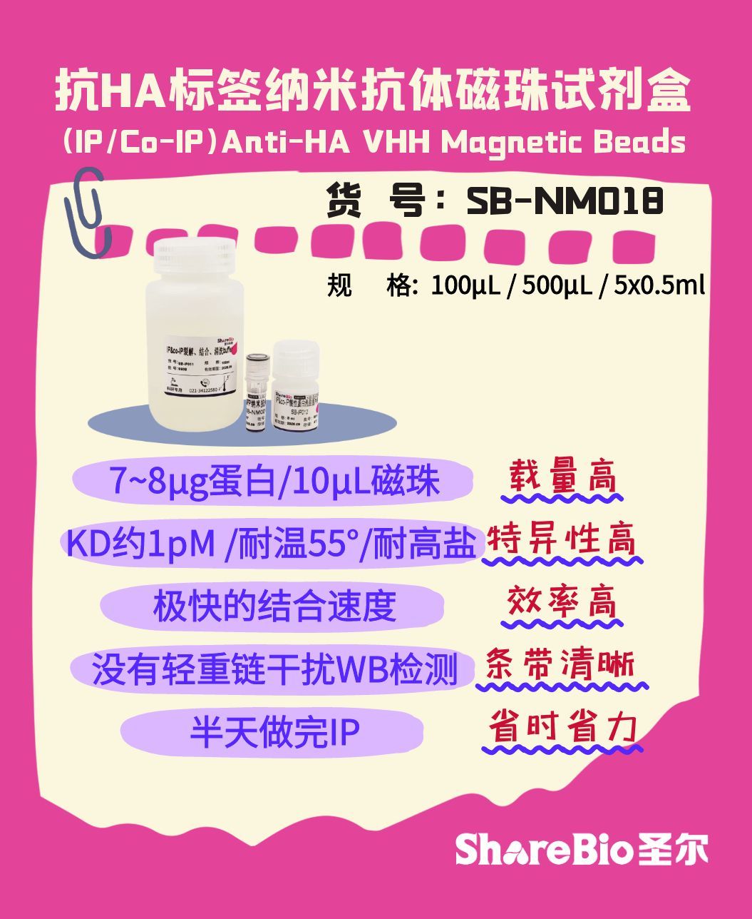 抗FLAG标签纳米抗体磁珠试剂盒(IP/Co-IP)Anti-Flag VHH Magnetic Beads