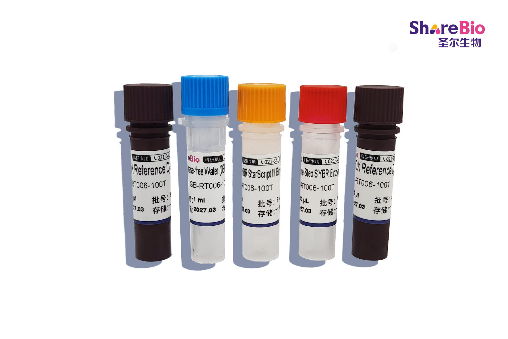 一步法 qRT-PCR 试剂盒-染料法 One-Step qRT-PCR SYBR Kit
