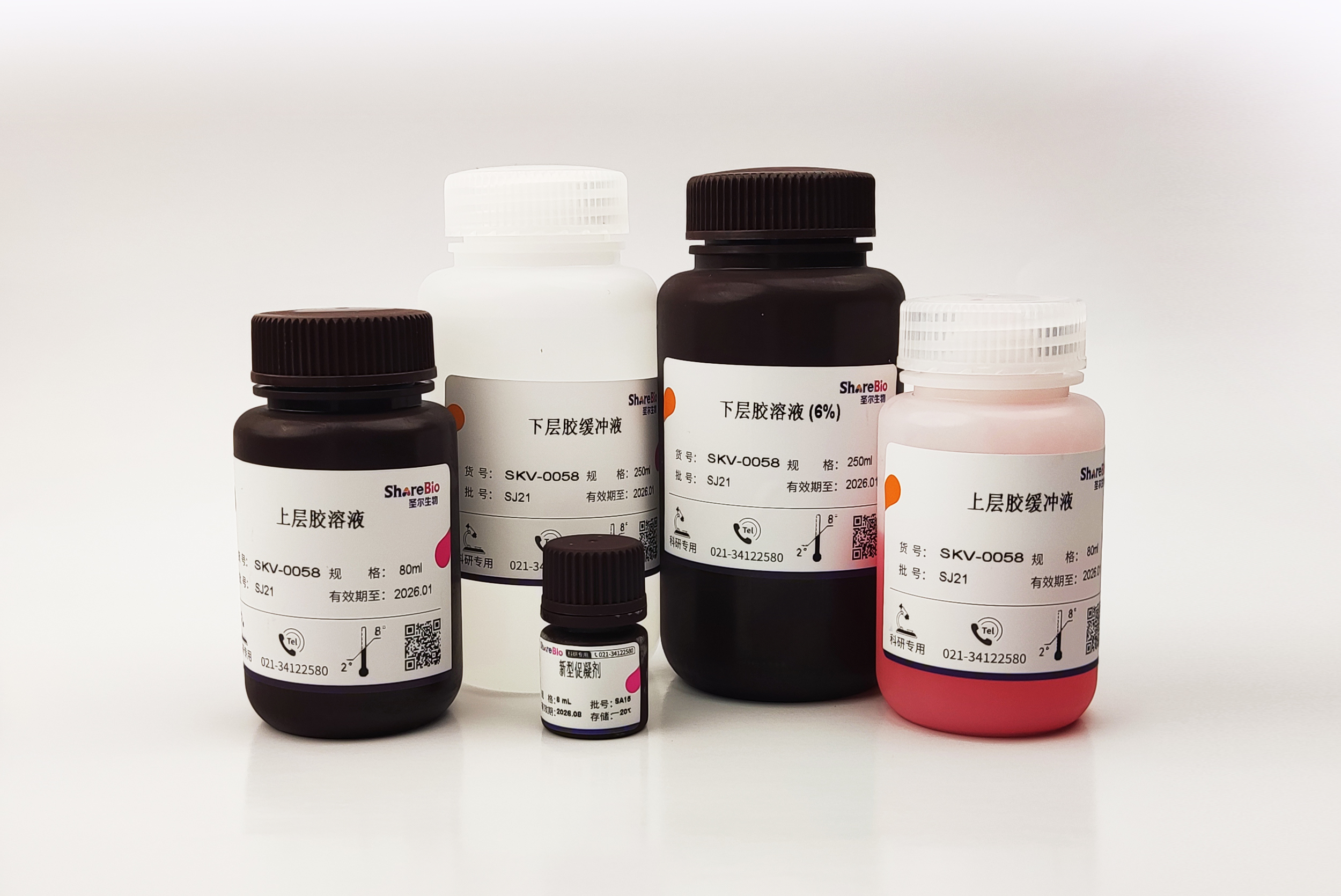 一步法彩色PAGE凝胶快速制备试剂盒（6%） 可配100块1.0 mm胶