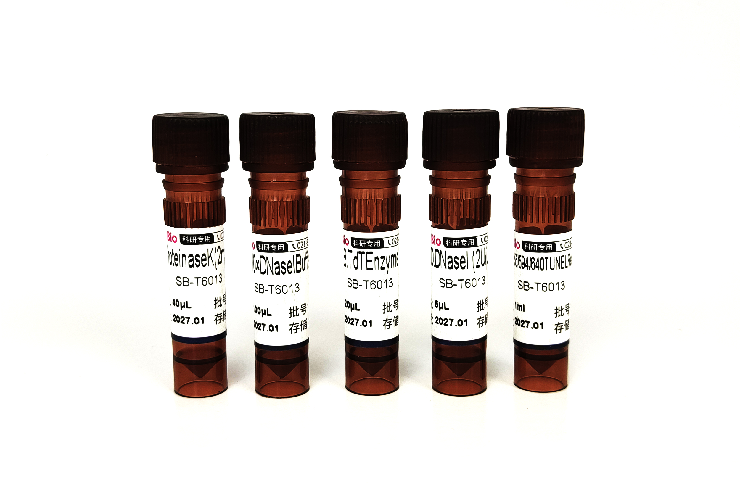 488 TUNEL 细胞凋亡试剂盒（绿色荧光） 488 TUNEL Assay Kits for In Situ Apoptosis Detection