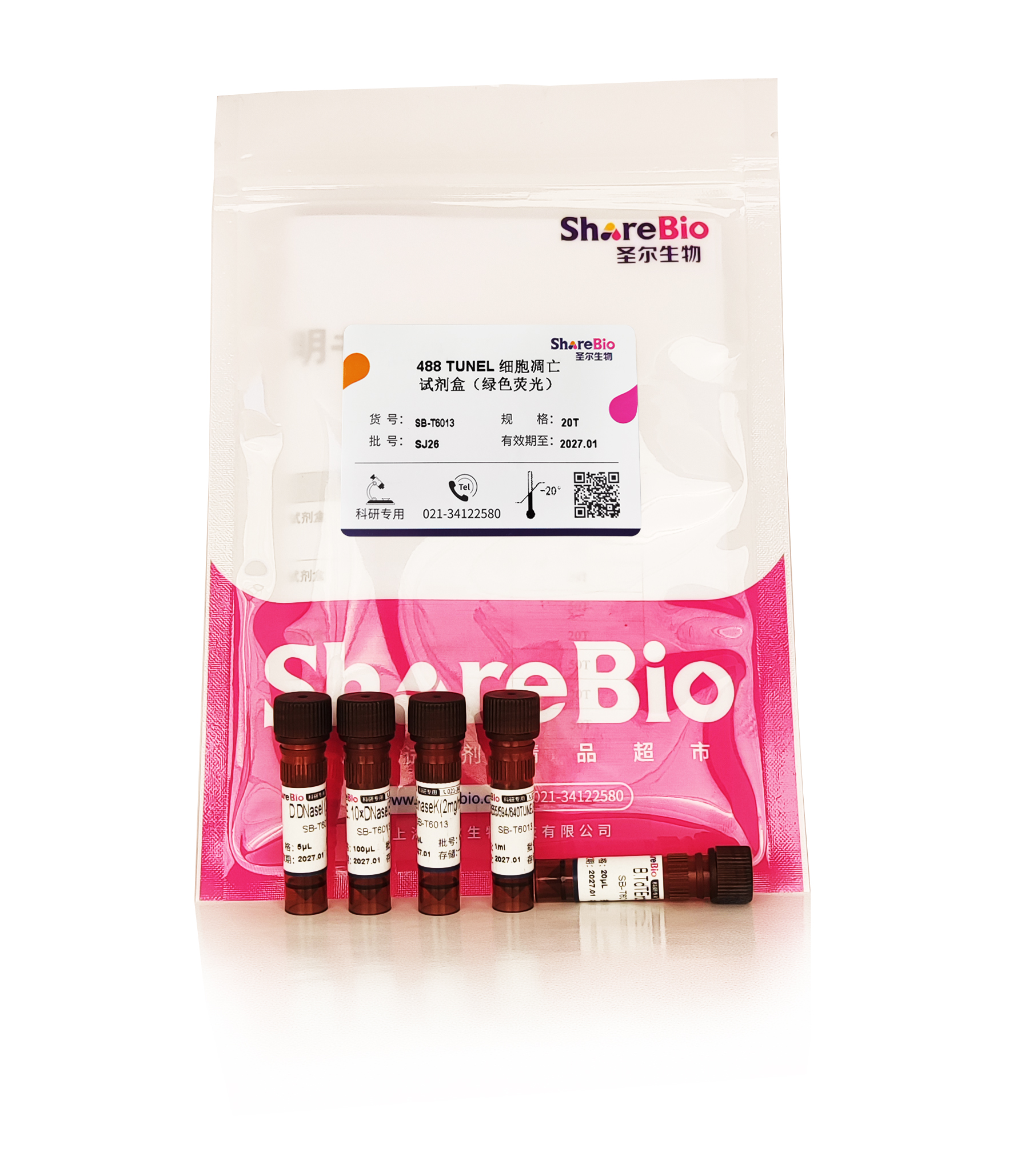 488 TUNEL 细胞凋亡试剂盒（绿色荧光） 488 TUNEL Assay Kits for In Situ Apoptosis Detection