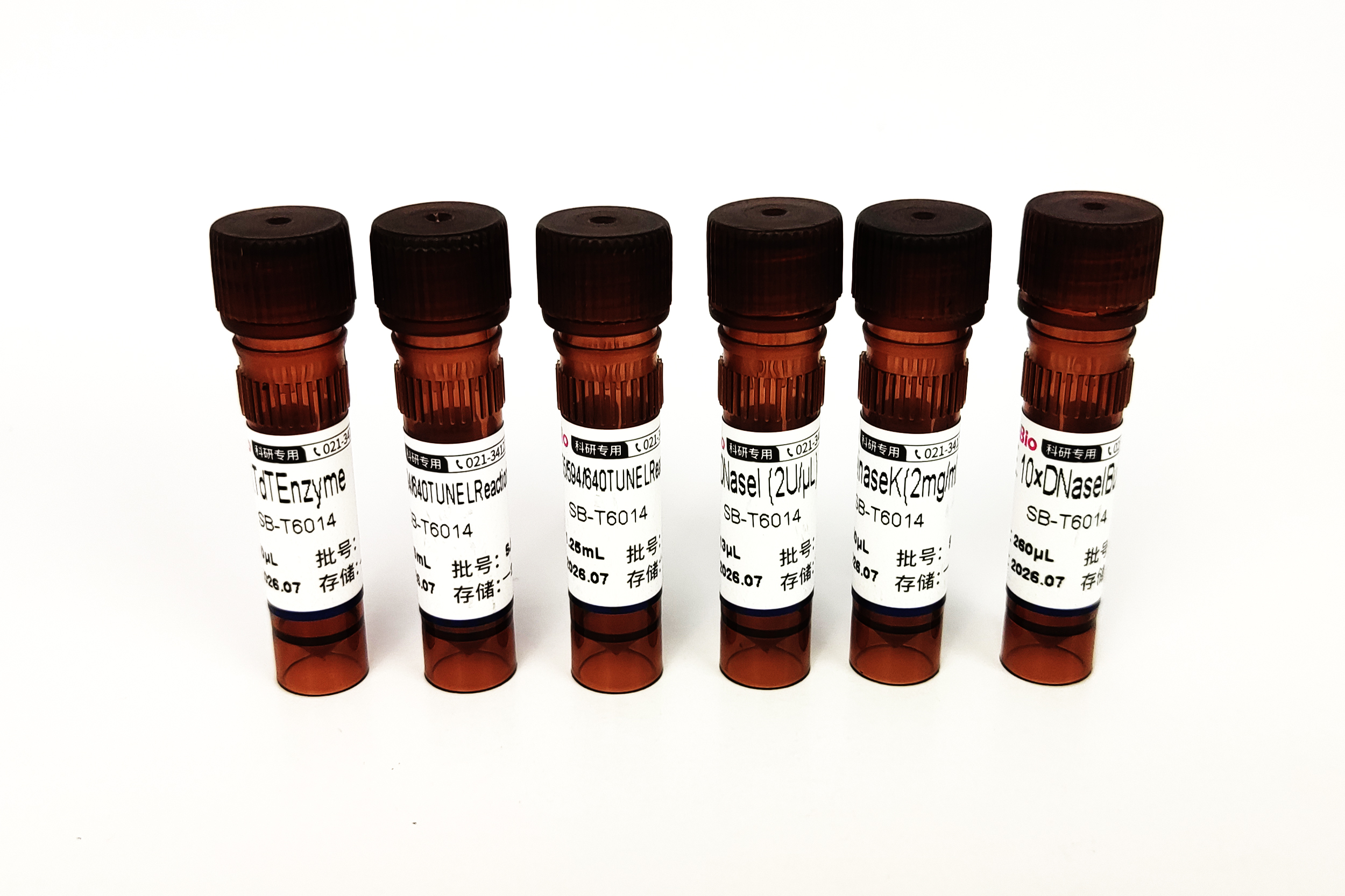 594 TUNEL 细胞凋亡试剂盒（红色荧光） 594 TUNEL Assay Kits for In Situ Apoptosis Detection