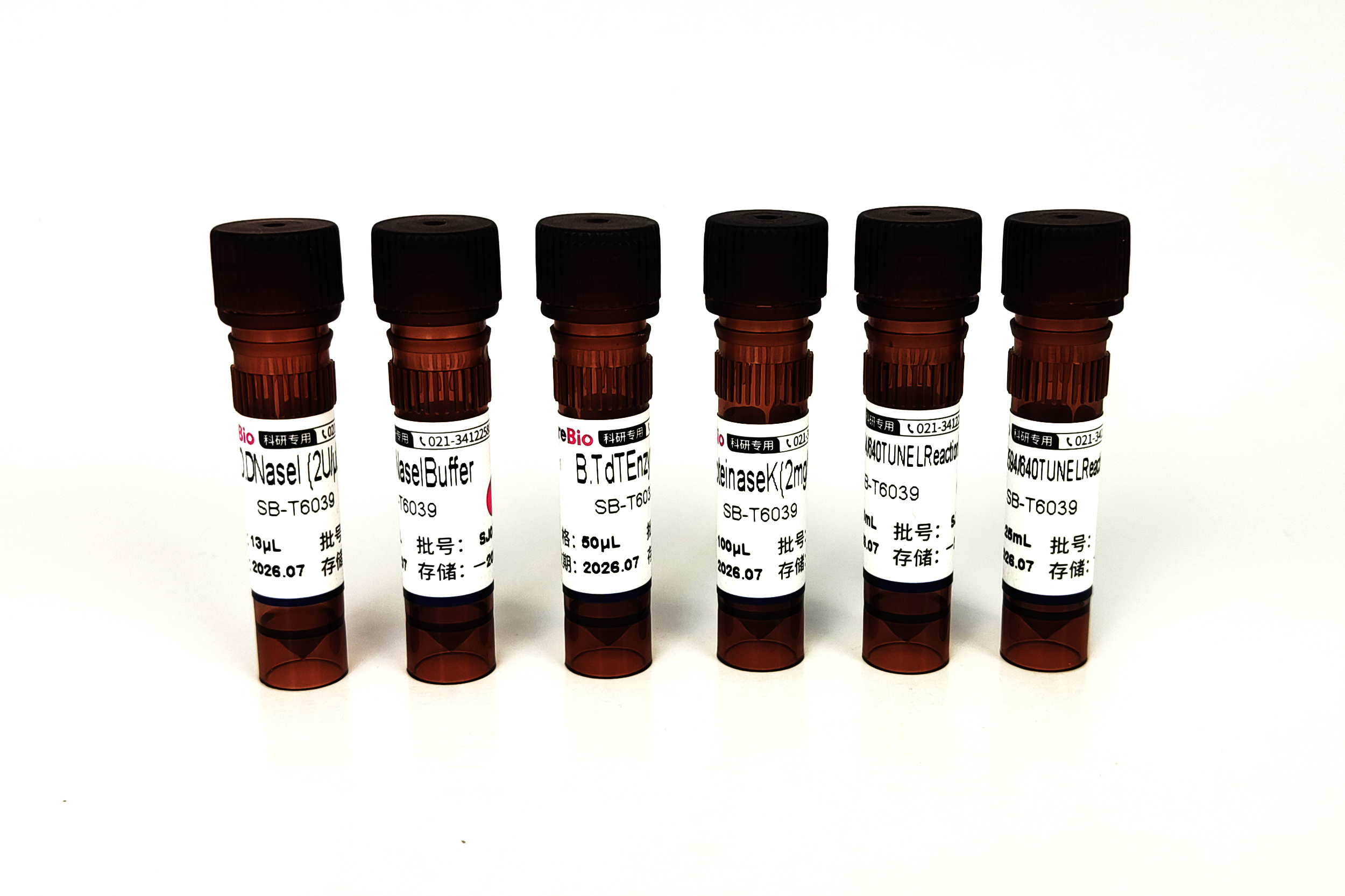 555 TUNEL 细胞凋亡试剂盒（橙红色荧光） 555 TUNEL Assay Kits for In Situ Apoptosis Detection