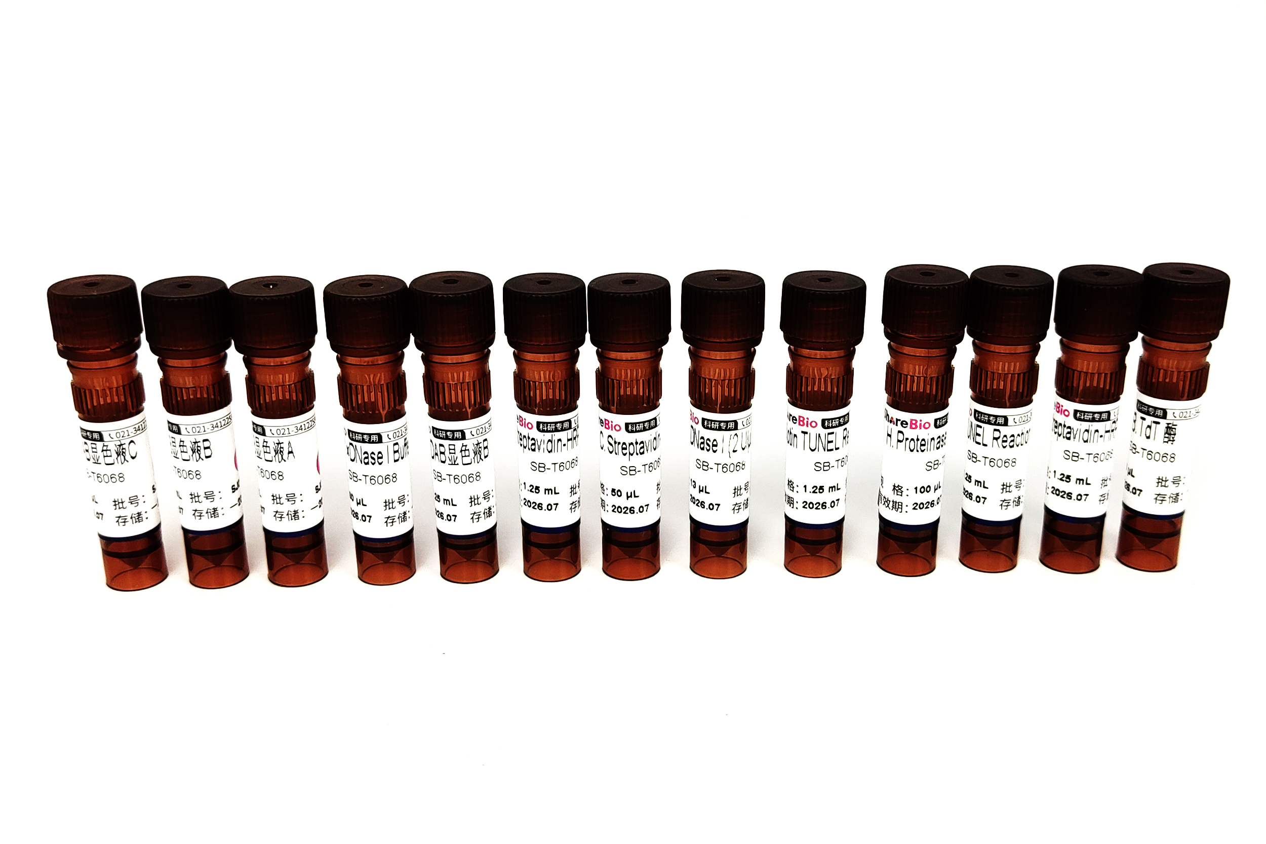 Biotin TUNEL细胞凋亡试剂盒 Biotin TUNEL Assay Kits for In Situ Apoptosis Detection