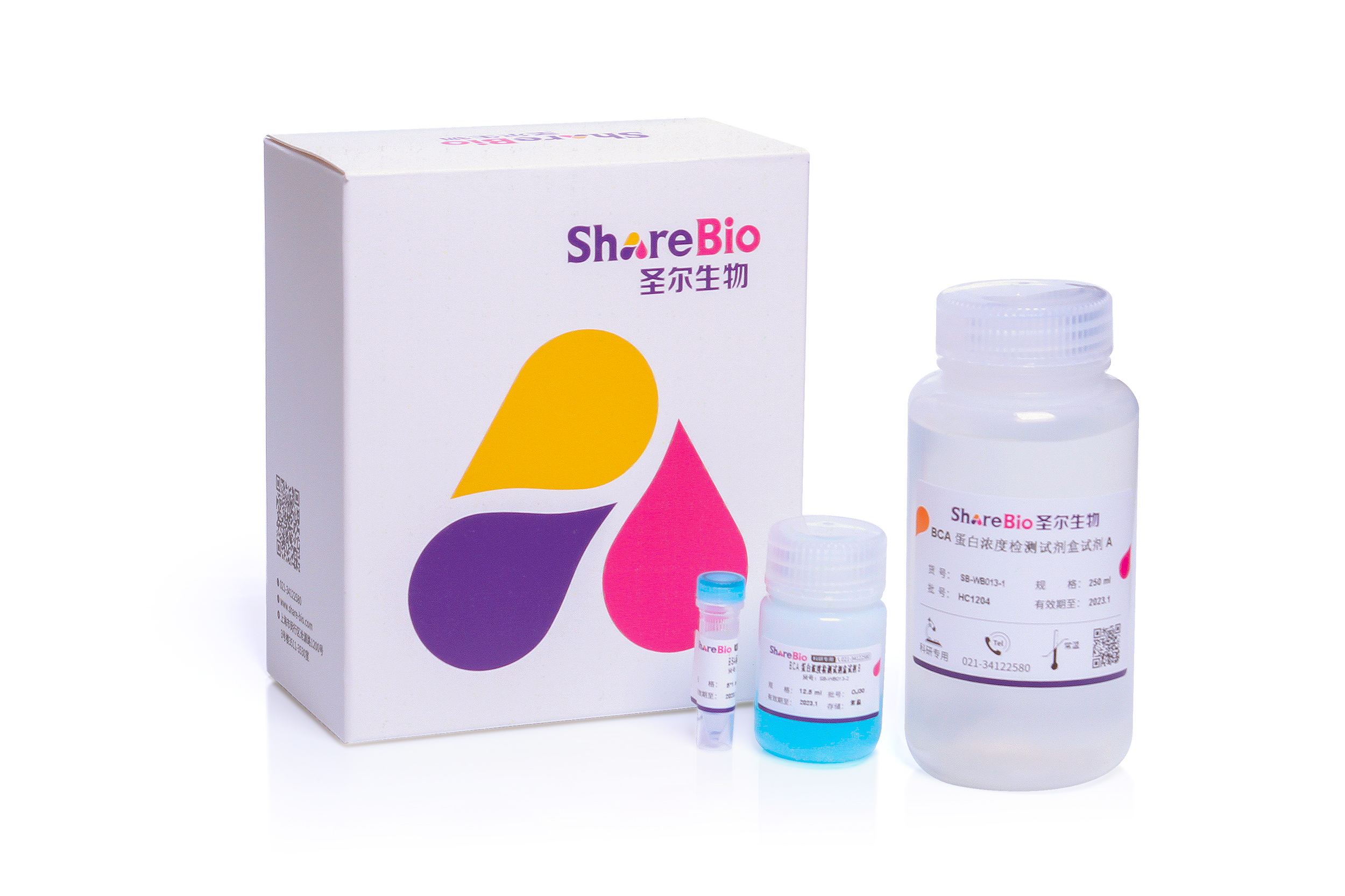 BCA蛋白定量试剂盒 BCA Protein Assay Kit