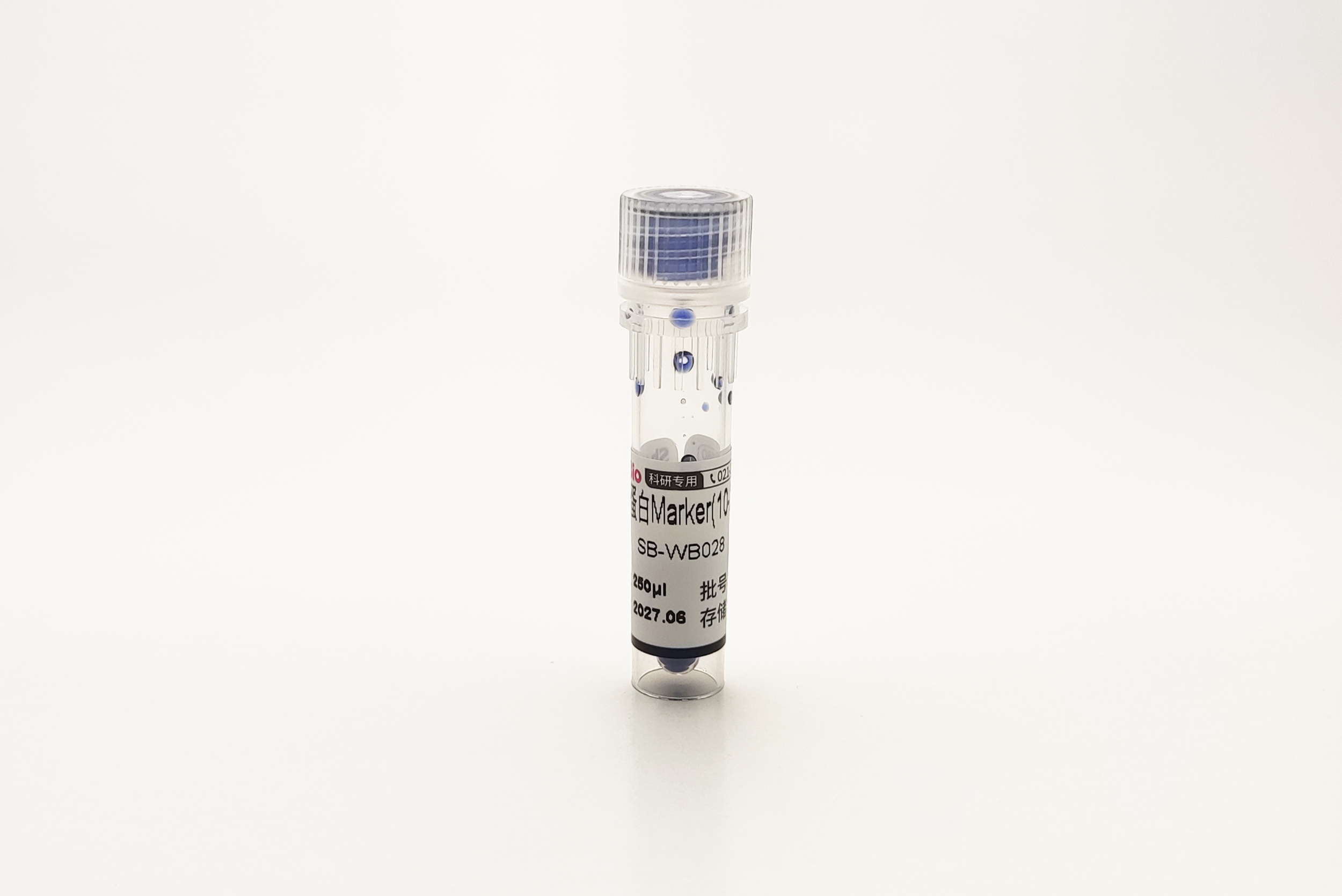 彩色预染蛋白Marker(10-250 kDa)