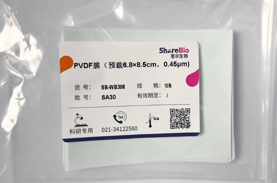 PVDF膜0.45μm（预裁6.8×8.5cm) Polyvinylidene Fluoride