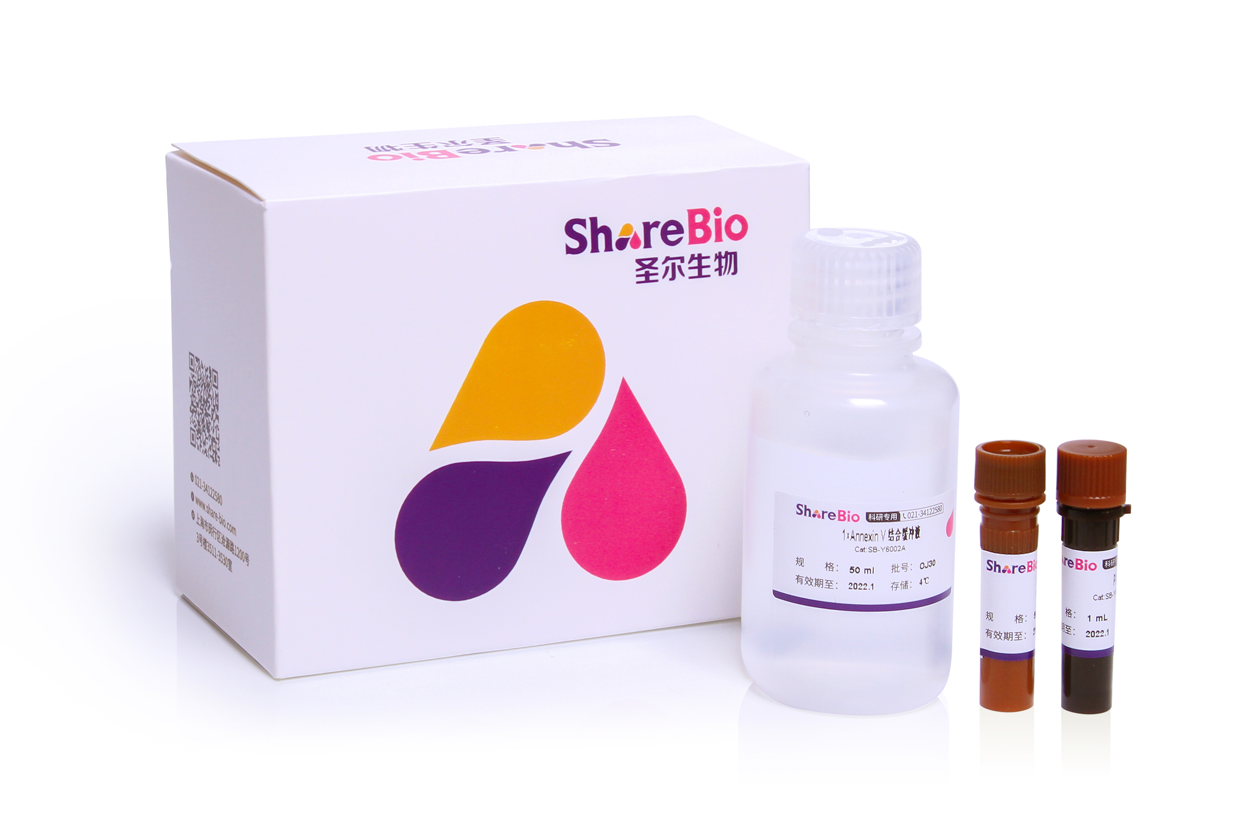 绿色488-Annexin V/PI 细胞凋亡试剂盒