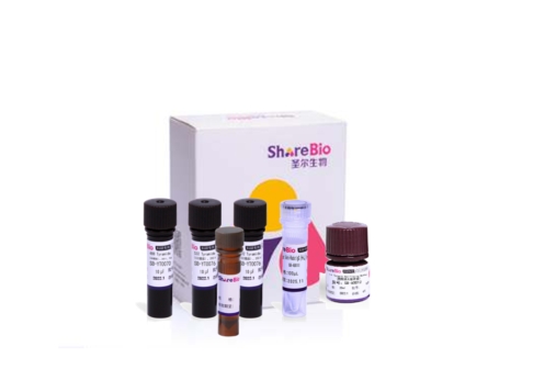 四色酪酰胺信号放大试剂盒(抗兔二抗） Four color tyramide signal amplification kit (Rabbit secondary antibody)