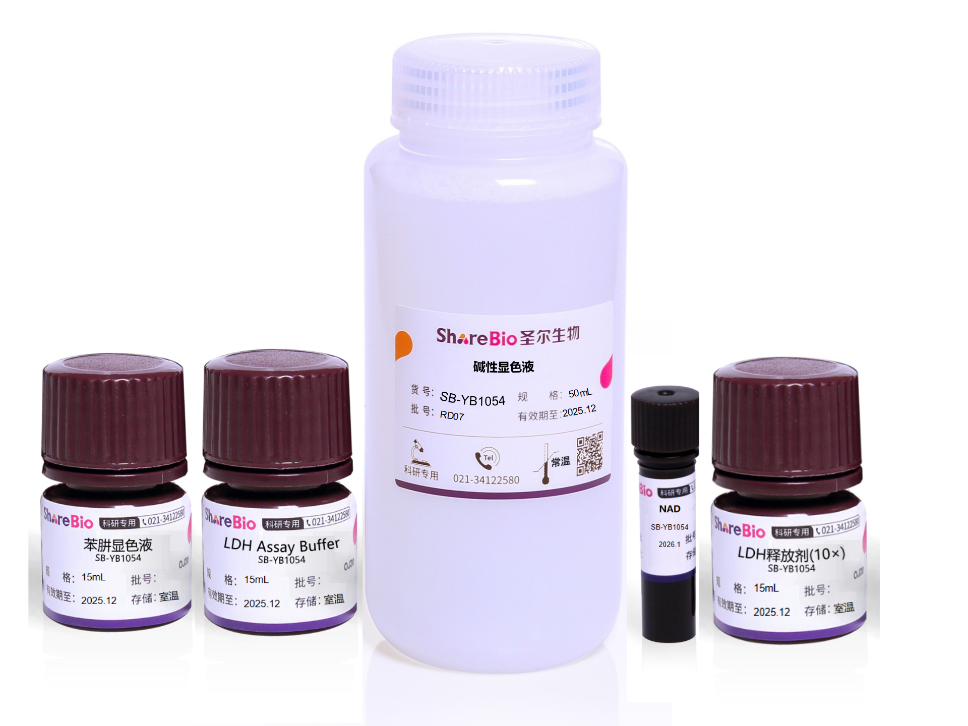 乳酸脱氢酶(LDH)细胞毒性检测试剂盒