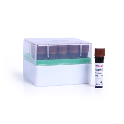 GelBlue安全核酸染料, 10,000× In Water Gel Blue DNA Stain;Gel Blue Nucleic Acid Gel Stain