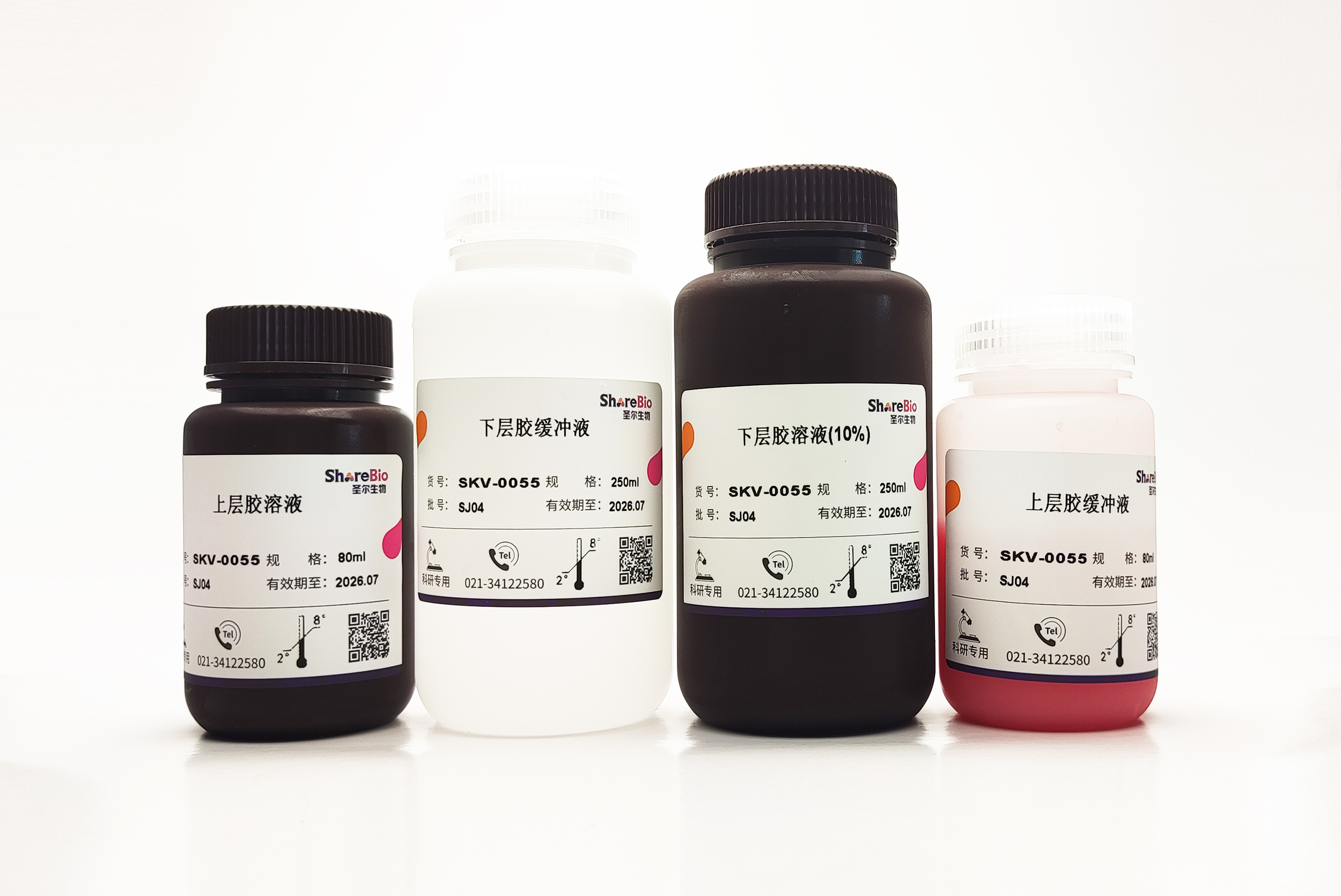 一步法彩色PAGE凝胶快速制备试剂盒（10%） 可配100块1.0 mm胶