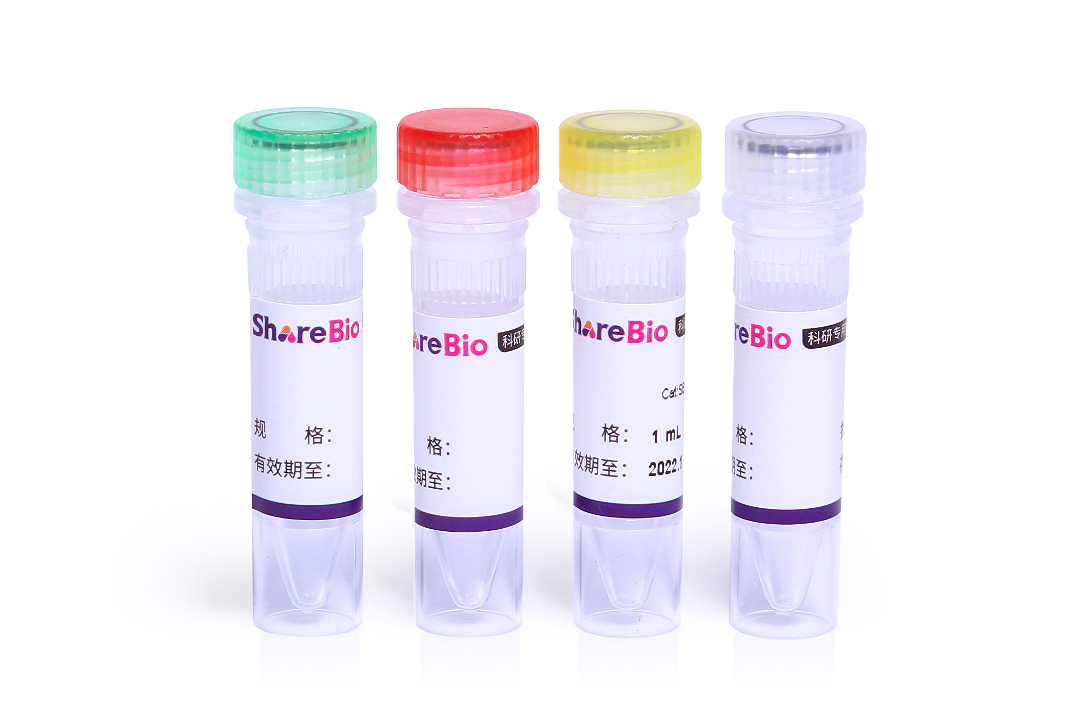 RNA免疫共沉淀试剂盒(RNA Immunoprecipitation kit，RIP kit)