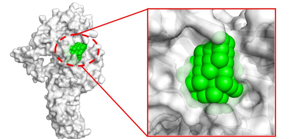 Molecular simulation docking