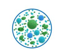 Electron microscopy service