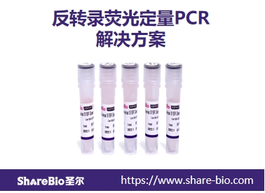 反转录与荧光定量PCR选择指南