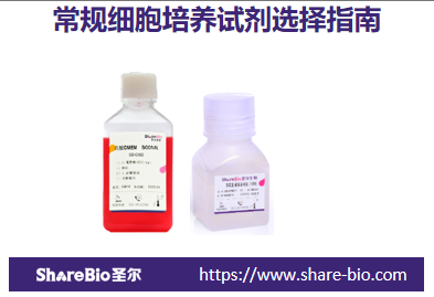 常规细胞培养试剂选择指南