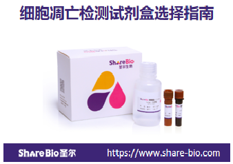 细胞凋亡检测试剂盒选择指南