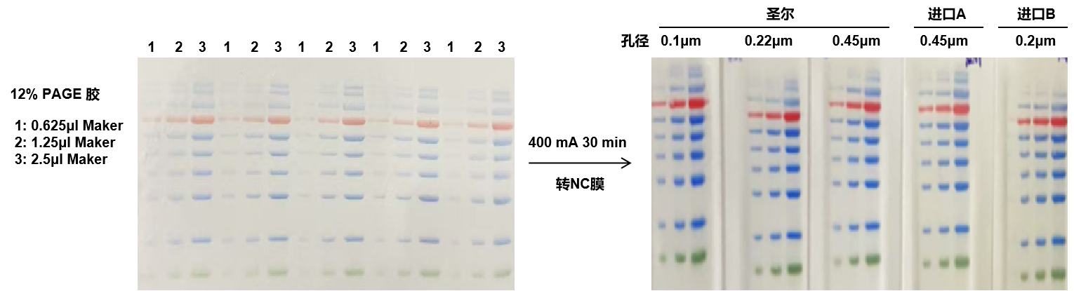 NC膜实验结果