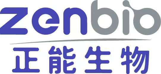 PDGFR beta Rabbit mAb