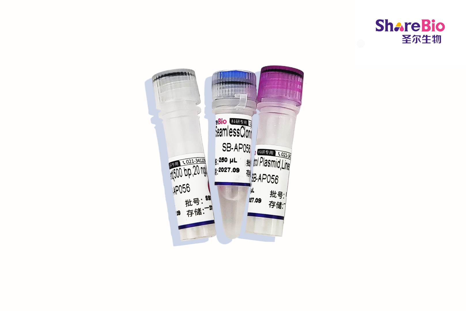 一步法无缝克隆试剂盒 One Step Seamless Cloning Kit