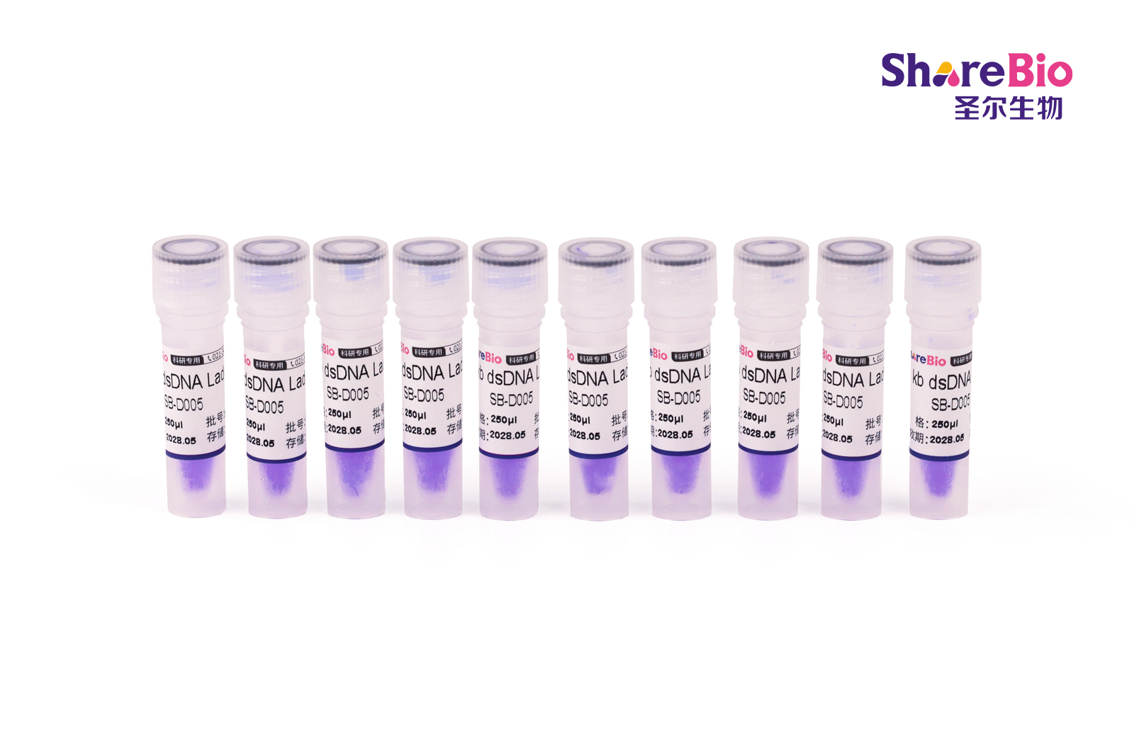 1 kb DNA Ladder(1 kb-10 kb) 1 kb double-stranded DNA  Ladder ;1 kb dsDNA Ladder;1000bp
