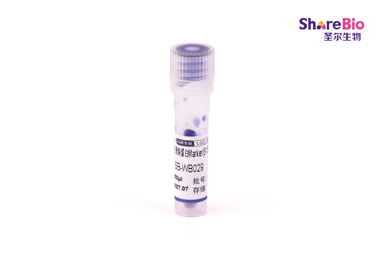 彩色预染蛋白Marker(10-180 kDa)