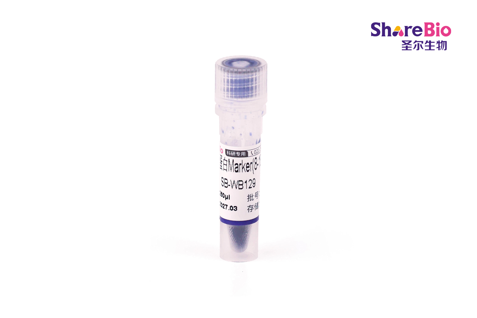 彩色预染蛋白Marker(8-180 kDa)