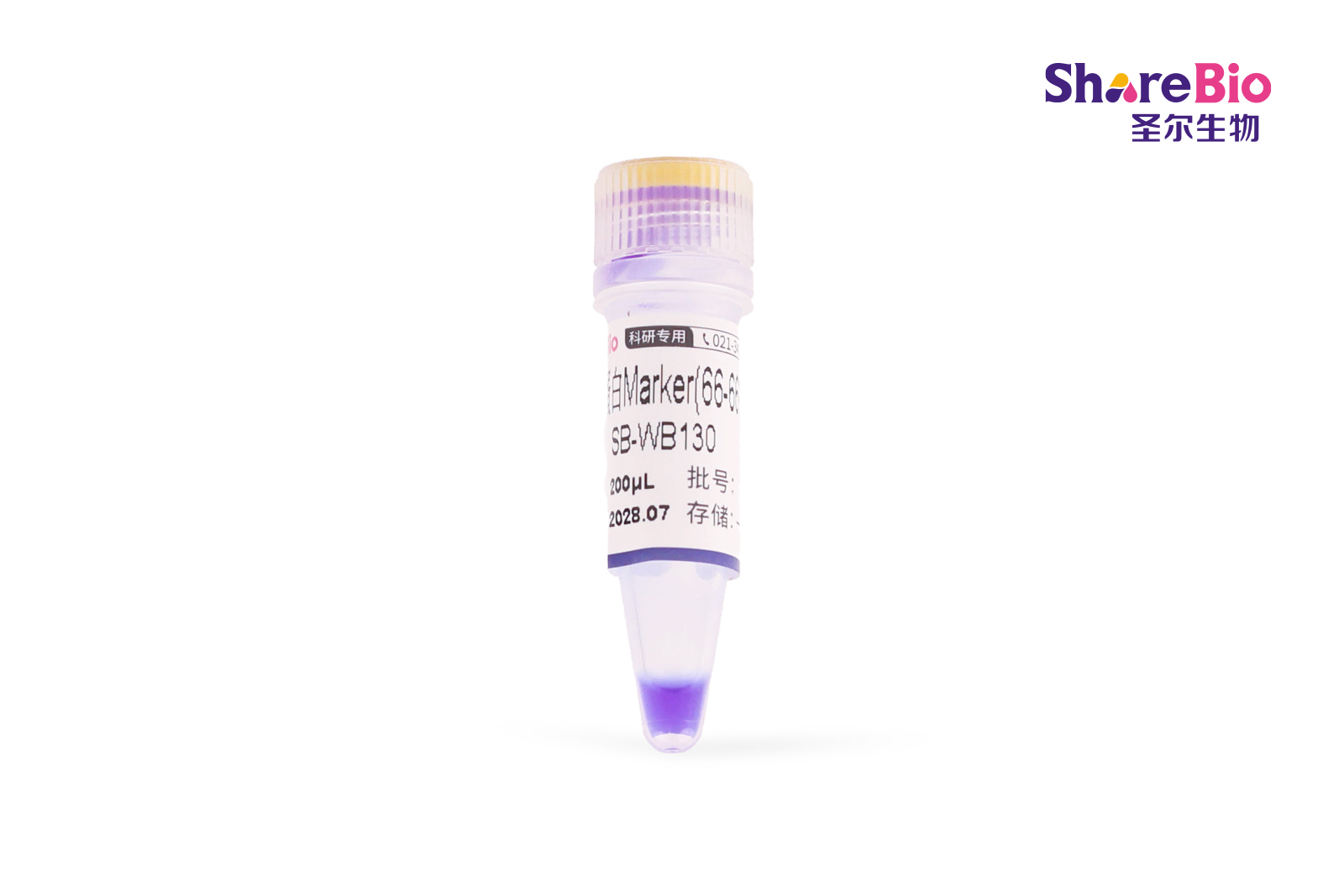 非变性蛋白Marker(66-669 kD)