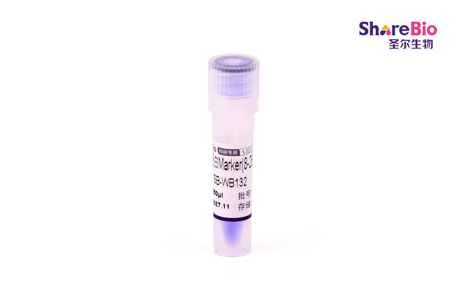 非预染蛋白Marker(8-265 kD)