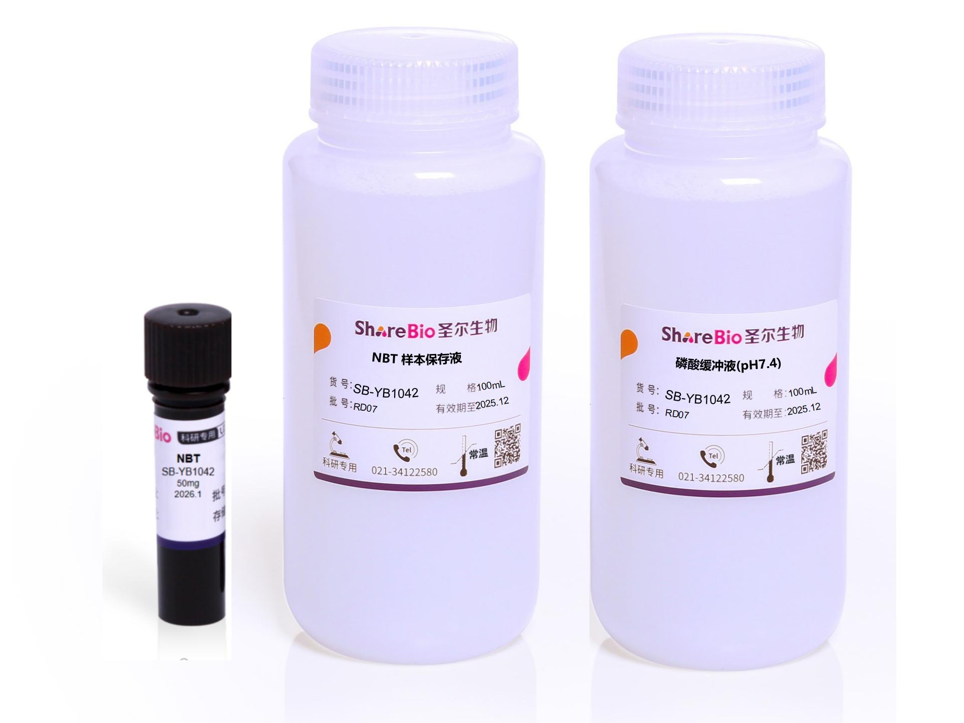 植物超氧阴离子染色液(NBT,pH7.4)