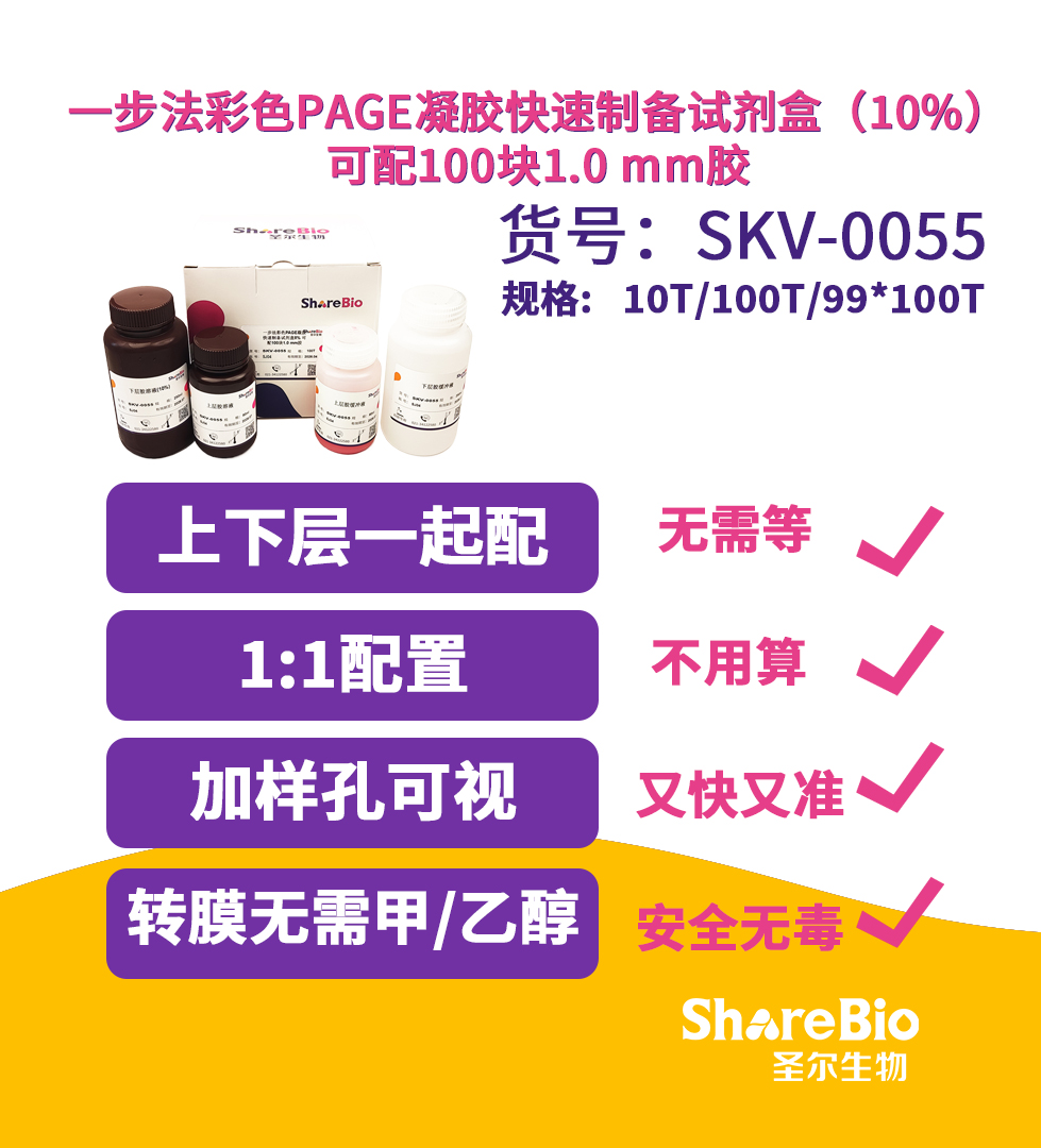 10% 一步法彩色PAGE凝胶快速制备试剂盒 可配100块1.0 mm胶