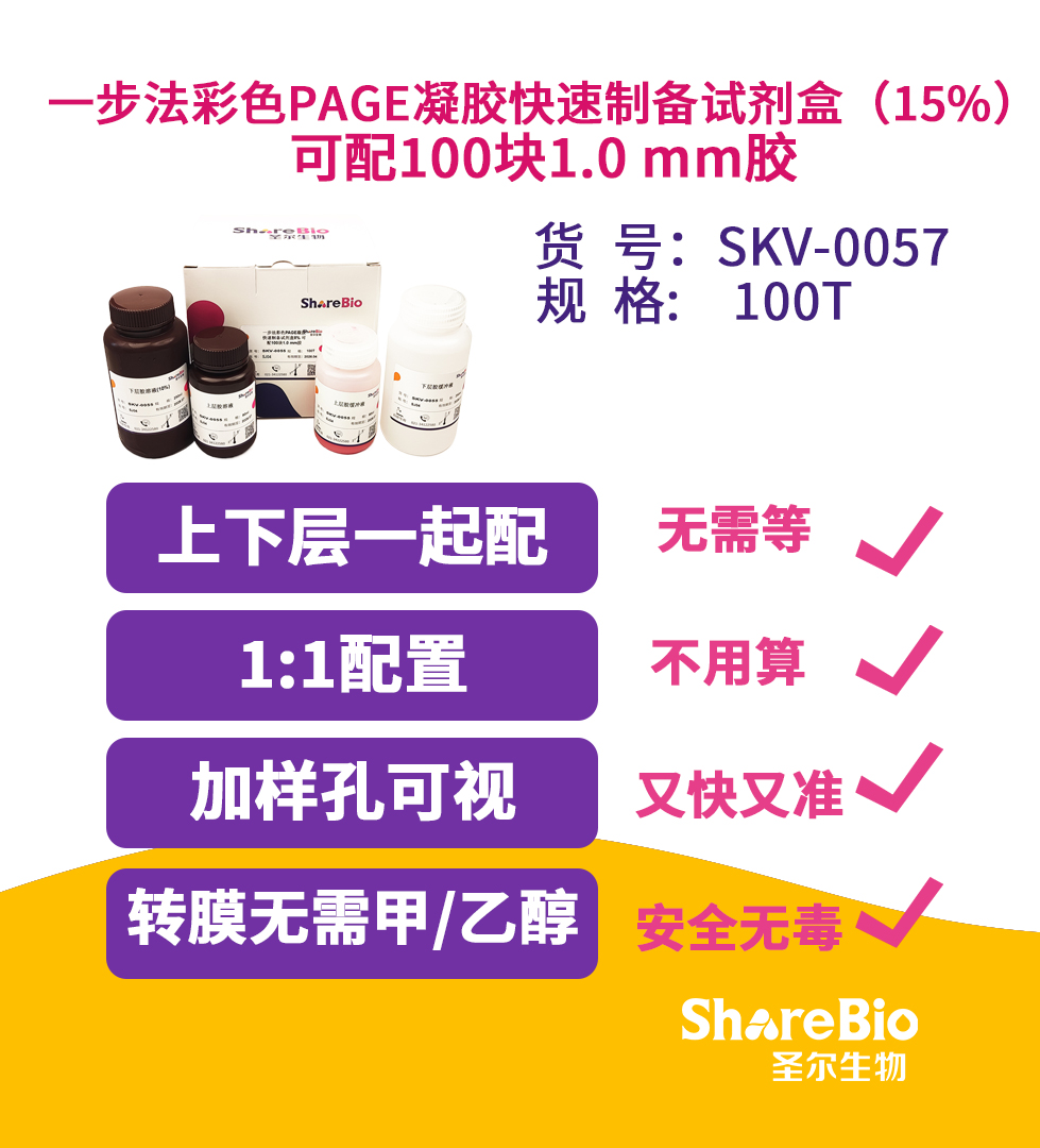 15% 一步法彩色PAGE凝胶快速制备试剂盒 可配100块1.0 mm胶
