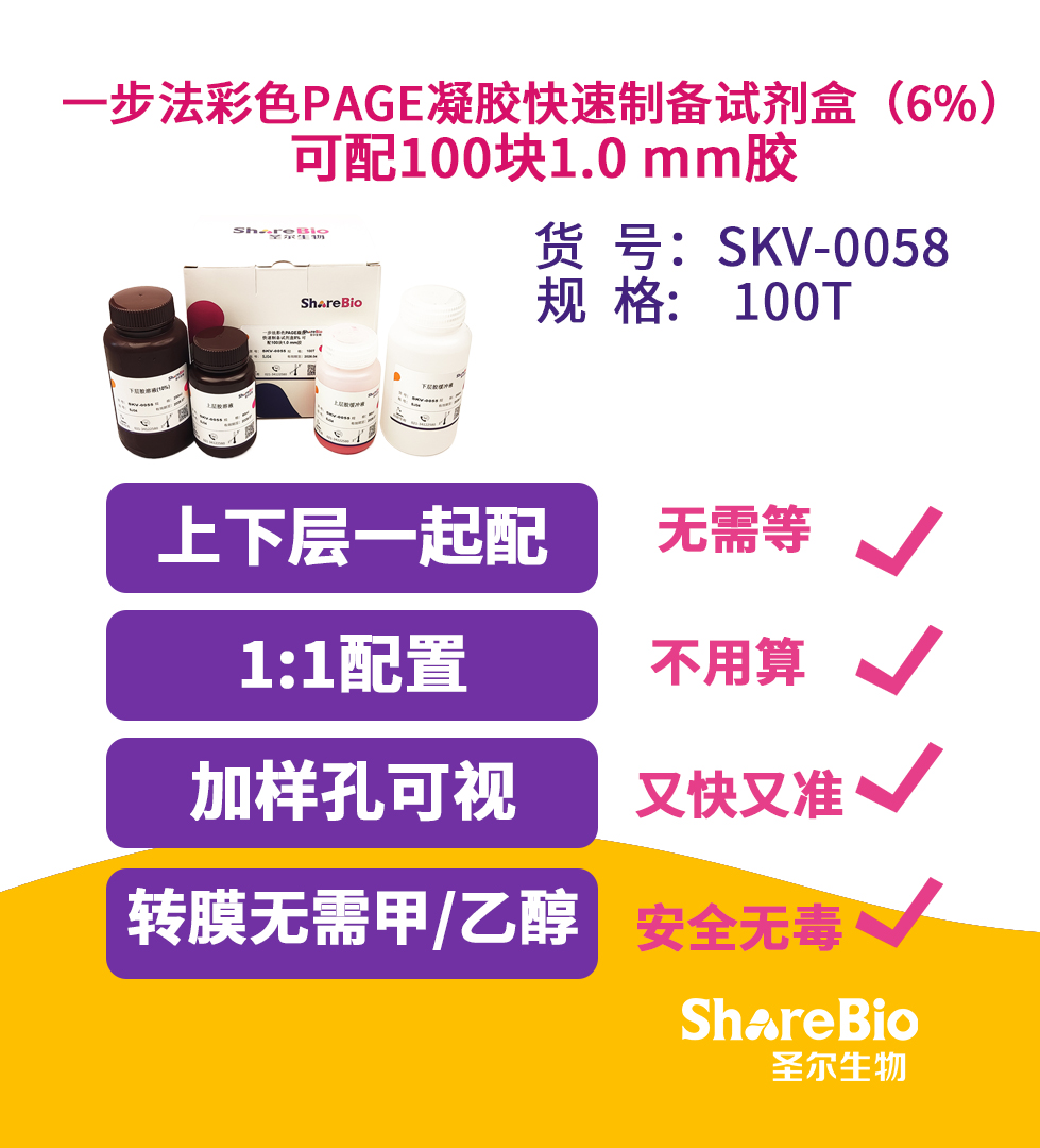6%一步法彩色PAGE凝胶快速制备试剂盒 可配100块1.0 mm胶